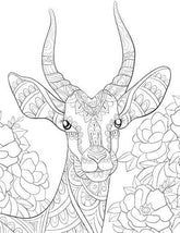 Dreamland Wilderness Colouring Book - A Drawing Painting & Colouring Book For Adults (English)